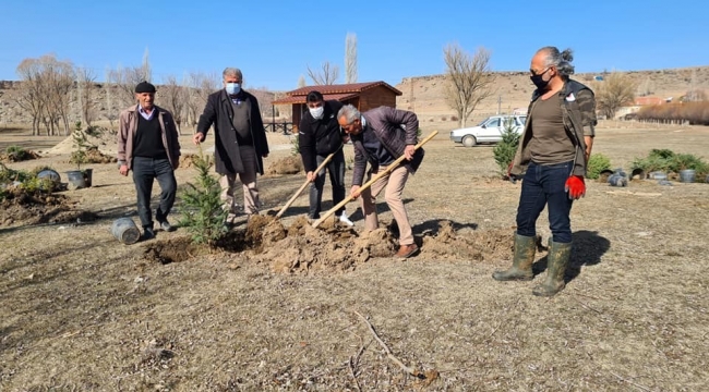 TOMARZA 10 BİN FİDANLA BULUŞUYOR