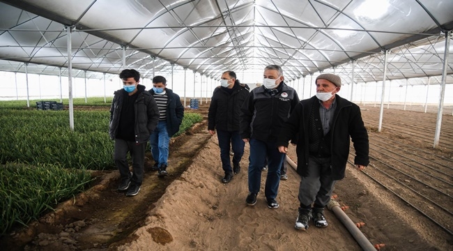 YENİ NESİL SERALAR ÜRETİCİLERE YENİ İMKANLAR SAĞLIYOR