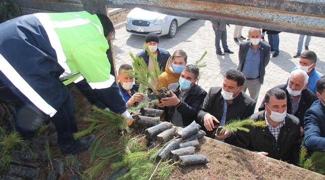 30 BİN FİDAN TOPRAKLA BULUŞACAK