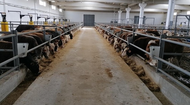 BEYDEĞİRMENİ MİSAFİRLERİNİ AĞIRLAMAYA BAŞLADI