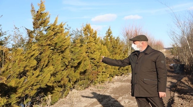 ÇOLAKBAYRAKDAR: YEMYEŞİL BİR KOCASİNAN İÇİN ÇALIŞIYORUZ