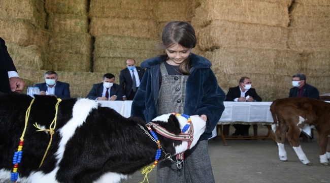 EN GÜZEL KUZU VE BUZAĞININ SAHİPLERİ ÖDÜLLENDİRİLDİ