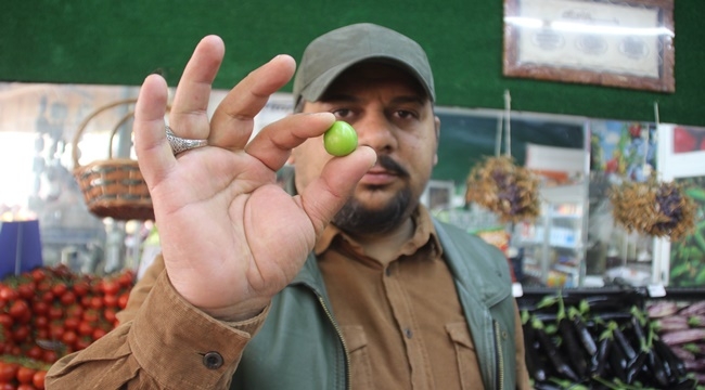 ERİĞİN FİYATI PASTIRMAYI SOLLADI