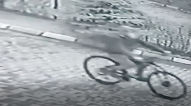 HIRSIZIN KARARLILIĞI ŞAŞIRTTI