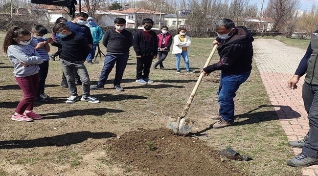 ÖĞRENCİLER VE ÖĞRETMENLER AĞAÇ DİKTİ