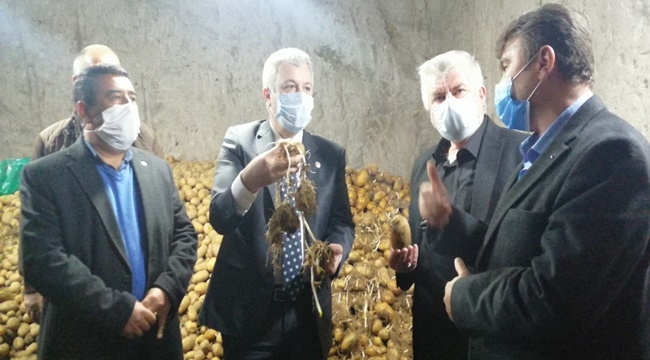 PATATES ÜRETİCİLERİ DERT KÜPÜ..