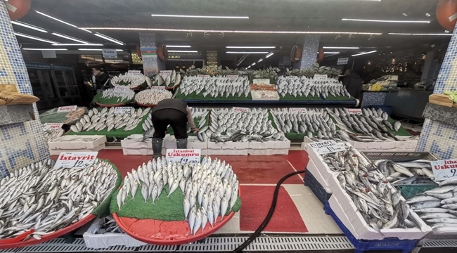 VATANDAŞ 'SEZONUN  BALIĞI NE?'DİYE SORUYOR