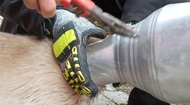 YARAMAZ KÖPEĞİ İTFAİYE KURTARDI