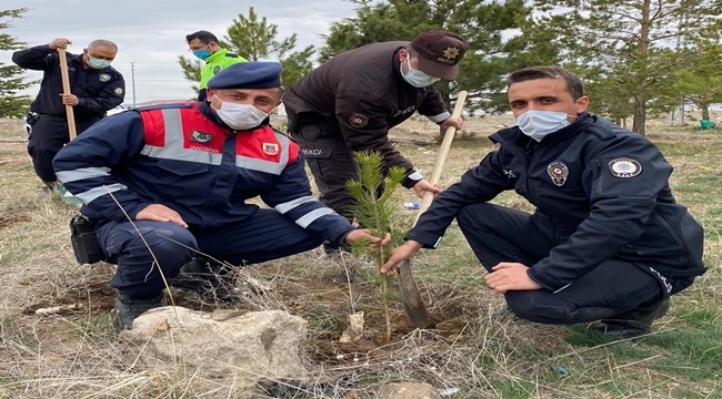 POLİSLER TARAFINDAN 176 FİDAN TOPRAKLA BULUŞTU