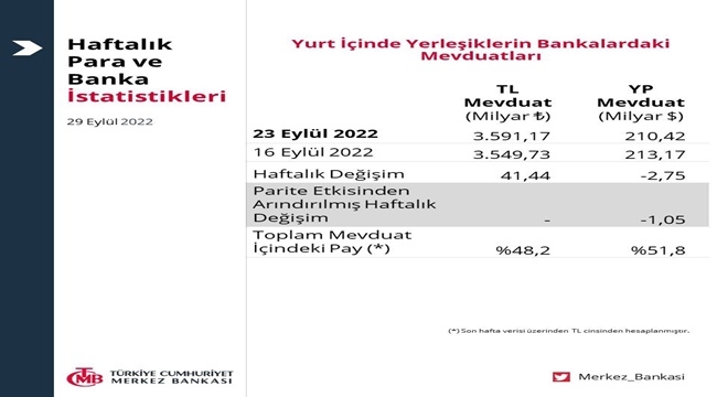YURT İÇİ YERLEŞİKLERİN DÖVİZ MEVDUATI 2,75 MİLYAR DOLAR AZALDI
