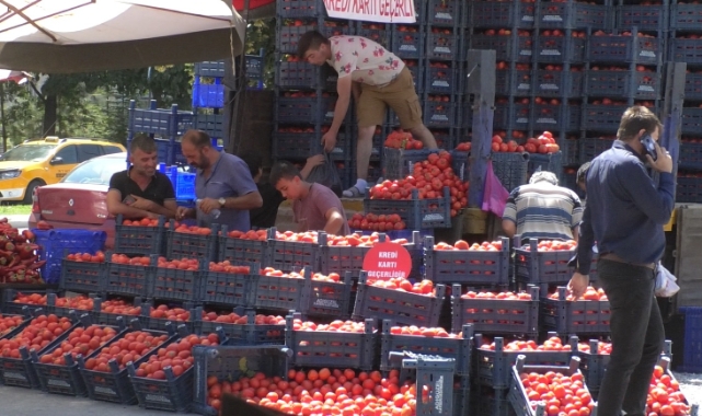 SALÇALIK DOMATES SATIŞTA