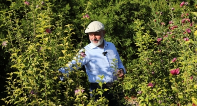 KOCASİNAN'DA YEŞİL ALANDA REKOR ÜSTÜNE REKOR