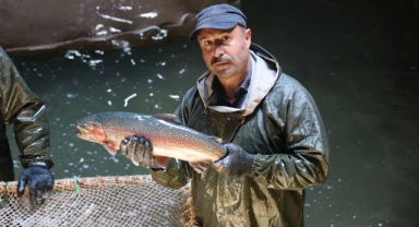 LABORATUVAR DEĞİL ALABALIK ÜRETİM TESİSİ