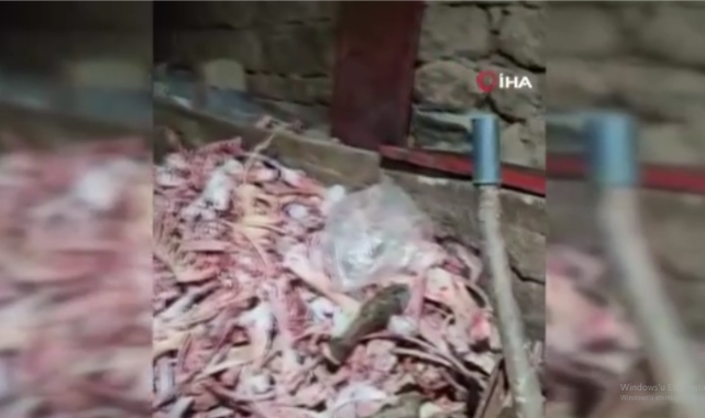 1,5 TON MÜHÜRSÜZ VE UYGUNSUZ ET TESPİT EDİLDİ