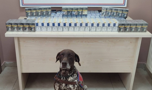 KAÇAK SİGARA OPERASYONU