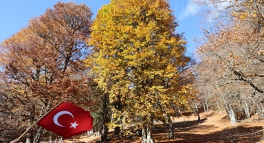 DOĞA SANATA DÖNÜŞTÜ