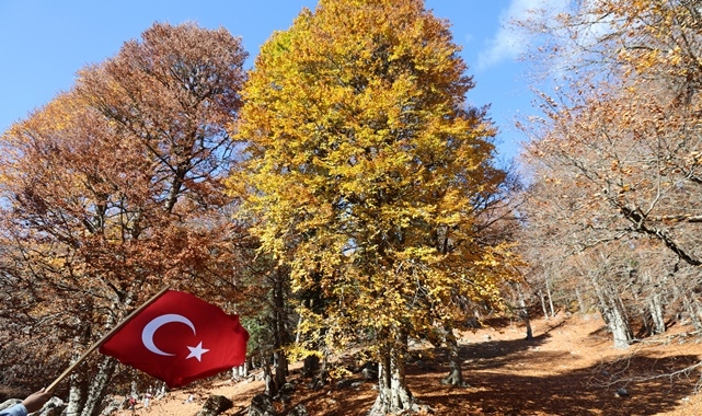 DOĞA SANATA DÖNÜŞTÜ