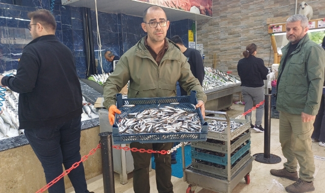 TEZGAHLARDA HAMSİ BOLLUĞU