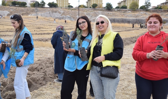 TOMARZA MYO ÖĞRENCİLERİ YÜZLERCE FİDANI TOPRAKLA BULUŞTURDU