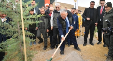 35 BİN FİDAN DİKİLDİ