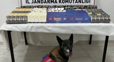 500 PAKET KAÇAK SİGARA ELE GEÇİRİLDİ