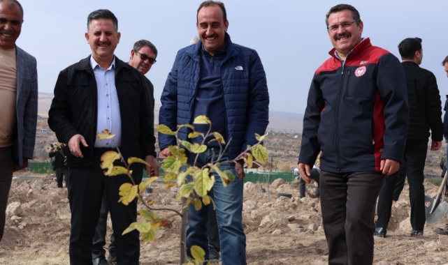 İNCESU'DA AĞAÇLAR TOPRAKLA BULUŞTU