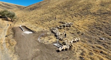 17 BİN DÖNÜMLÜK MERADA KAPSAMLI YENİLEME