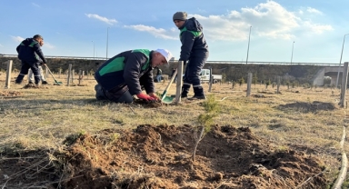 3 BİN 200 FİDAN TOPRAKLA BULUŞTU