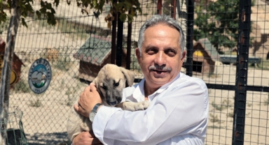 500 CAN İÇİN SEÇKİN BİR YUVA