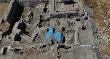 ANADOLU'DA NADİR RASTLANAN KIZILCIK KURUTMASI BULUNDU