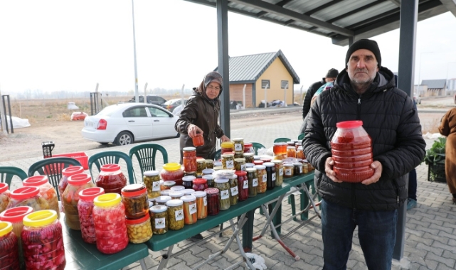 KOCASİNAN'IN TARIM PROJESİNDE SON HASAT