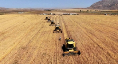 TARIM-GFE YILLIK YÜZDE 33,66 ARTTI