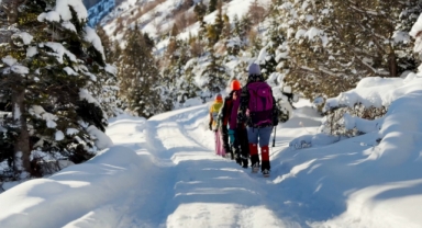 ALADAĞLAR'DA DÖRT MEVSİM GÖRSEL ŞÖLEN