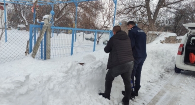 BÜNYAN'DA SOKAK HAYVANLARINA MAMA DESTEĞİ
