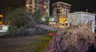 KAYSERİ'DE KUVVETLİ RÜZGAR