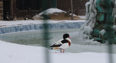 ÖZEL SİSTEM İLE ISITILIYOR