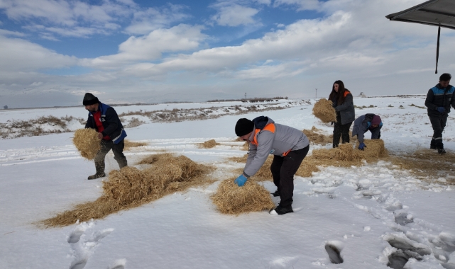 "DİLSİZ DOSTLARA" MERHAMET ELİ