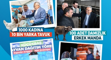 BÜYÜKŞEHİR İLE KAYSERİ, HAYVANCILIKTA YÜKSELİŞTE