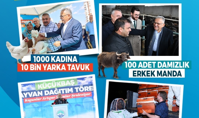 BÜYÜKŞEHİR İLE KAYSERİ, HAYVANCILIKTA YÜKSELİŞTE