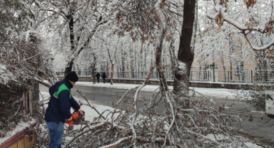 KAYSERİ BÜYÜKŞEHİR'DEN KIŞ ÇALIŞMALARINDA AĞAÇ GÜVENLİĞİ SEFERBERLİĞİ