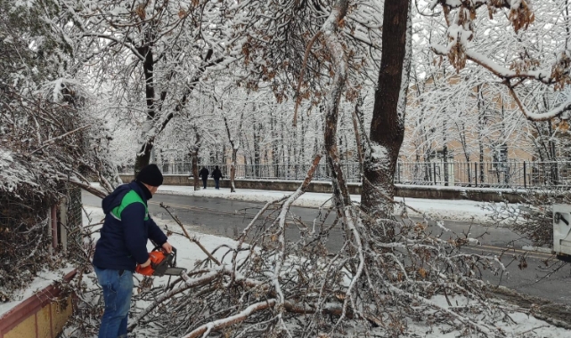 KAYSERİ BÜYÜKŞEHİR'DEN KIŞ ÇALIŞMALARINDA AĞAÇ GÜVENLİĞİ SEFERBERLİĞİ