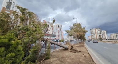 KAYSERİ'DE KUVVETLİ RÜZGARIN BİLANÇOSU