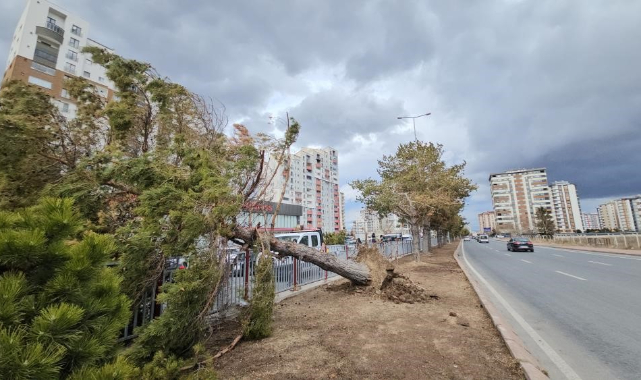 KAYSERİ'DE KUVVETLİ RÜZGARIN BİLANÇOSU