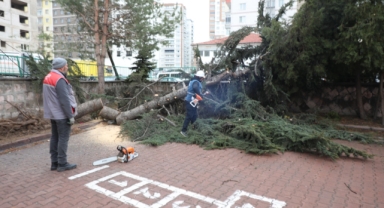 MELİKGAZİ BELEDİYESİ EKİPLERİ SAHADA