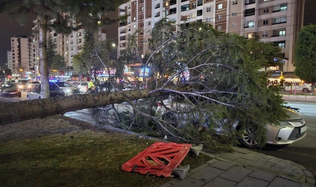 METEOROLOJİ'DEN 'KUVVETLİ RÜZGAR' VE 'FIRTINA' UYARISI