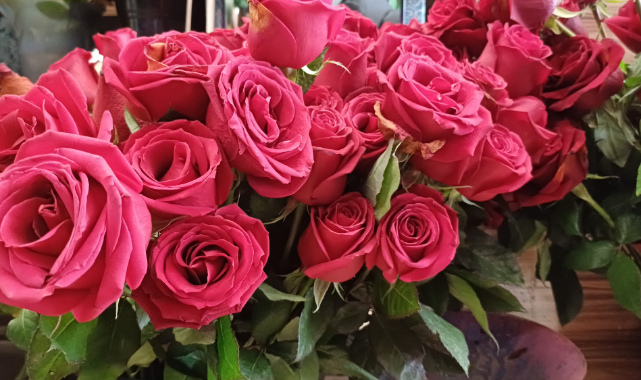 SEVGİLİLER GÜNÜ'NDE TREND KIRMIZI GÜL