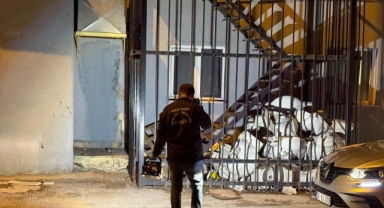 TABANCAYLA UĞRAŞIRKEN KENDİNİ VURDU