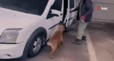 UYUŞTURUCU OPERASYONLARINDA 144 ŞÜPHELİ YAKALANDI