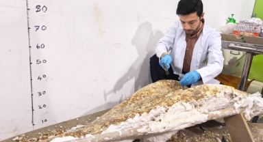 YENİ FOSİL PARÇALARI BULUNDU