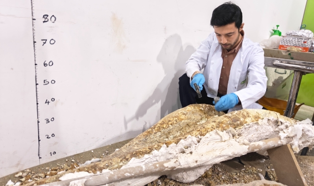 YENİ FOSİL PARÇALARI BULUNDU